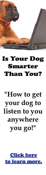 How To Get Your Dog
To Listen To You

Anywhere You Go....
Even If He's Distracted By A
Tennis Ball, A Piece Of Food,
or Another Dog!

Click here for more info.