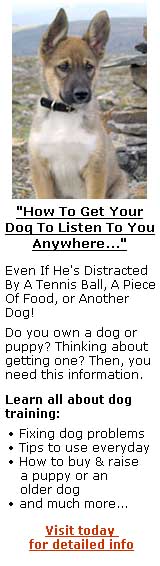 How To Get Your DogTo Listen To YouAnywhere You Go....Even If He's Distracted By ATennis Ball, A Piece Of Food,or Another Dog!Click here for more info.