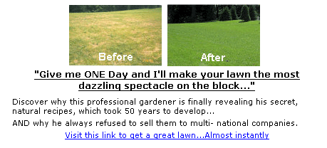 Give me ONE Day and I'll make your lawn the most dazzling spectacle on the block... Get a beautiful lawn... This summer!