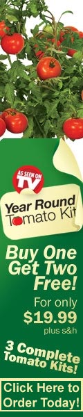  Now you can experience the pleasure of enjoying fresh picked, home grown juicy tomatoes from your own garden, ALL YEAR ROUND.  And you don't need a garden, just hang the planter near a window, or in your favorite pot, or hang it outdoors on a balcony or a fence.  Order Today!...