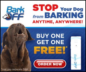  Stop your dog from barking anytime, anywhere.  Click here for details... 
