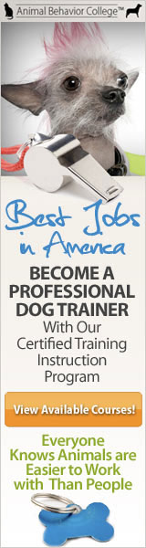 Professional Dog Trainer Course...
