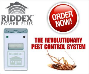 Riddex will rid your home of rodents and roaches in a safe, non-chemical way! Buy One, Get One FREE! Click here for details...