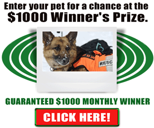 Enter your pet photo for $1,000 prize - Details inside!...