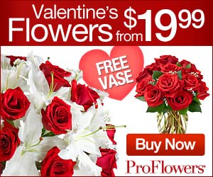 Valentine's Flowers from $19.99 - Click here for more info...