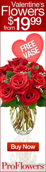 Valentine's Flowers from $19.99 - Click here for more info...