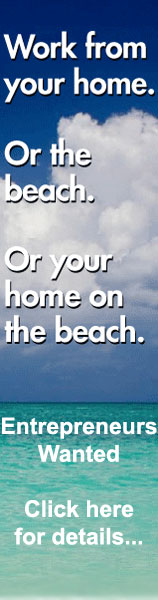 Work from your home or the beach OR Your Home on the Beach! - Click here for details...