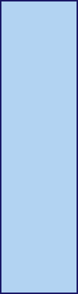 160 x 600 banner