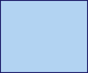 300 x 250 banner